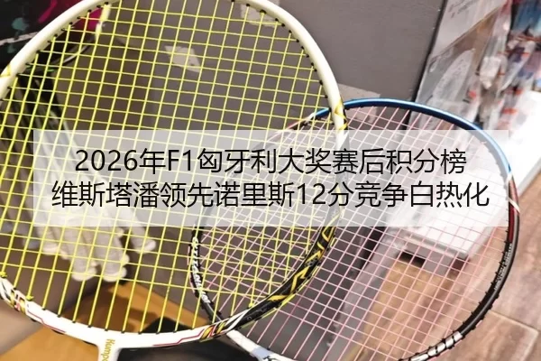 nian-xiong-ya-li-da-jiang-sai-hou-ji-fen-bang-wei-si-ta-pan-ling-xian-nuo-li-si-fen-jing-zheng-bai-re-hua-2-543.jpg